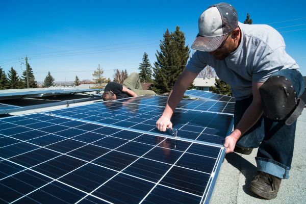 Insured Panels & Structure